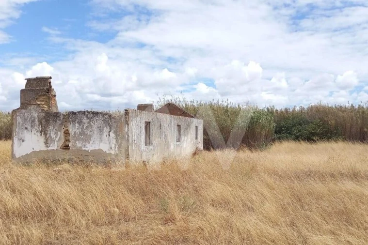 Terreno para Venda em Montijo e Afonsoeiro Foto 2