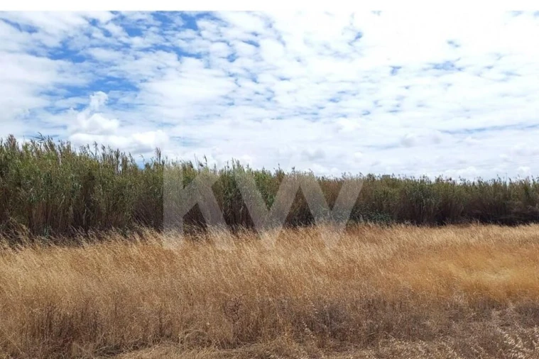 Terreno para Venda em Montijo e Afonsoeiro Foto 8