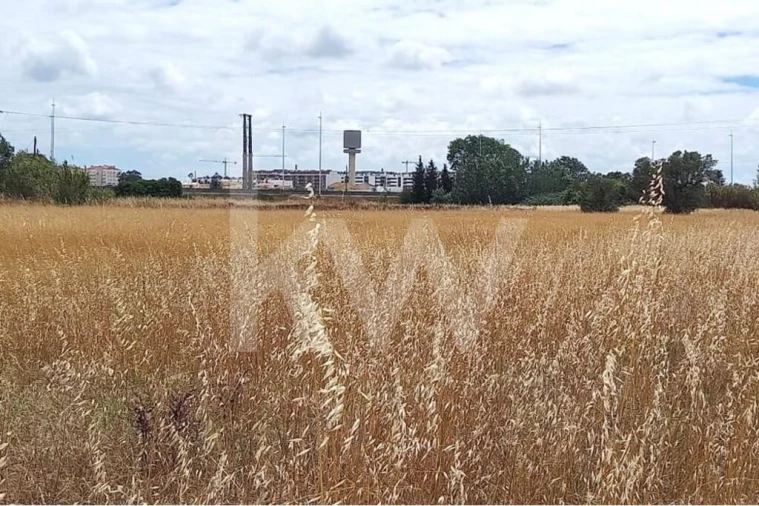Terreno para Venda em Montijo e Afonsoeiro Foto 15