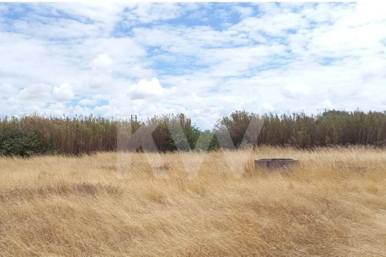 Terreno para Venda em Montijo e Afonsoeiro Foto 14
