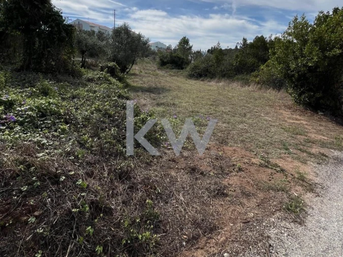 Terreno para Venda em Brasfemes Foto 2