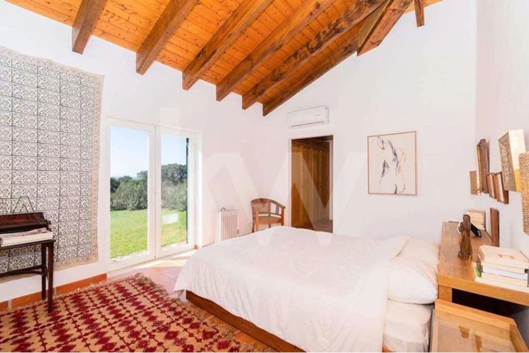 Quinta T6 para Venda em Alcaçovas Foto 12