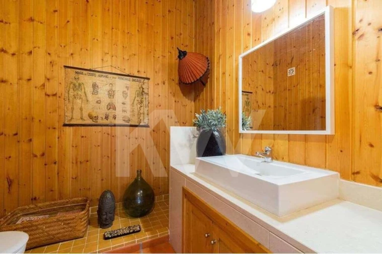 Quinta T6 para Venda em Alcaçovas Foto 9