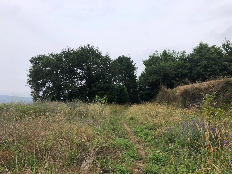 Moradia T2 para Venda em Formariz e Ferreira Foto 11