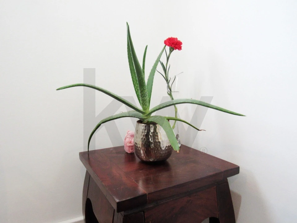 Moradia T3 para Venda em O. Azeméis, Riba-Ul, Ul, Macinhata Seixa, Madail Foto 12