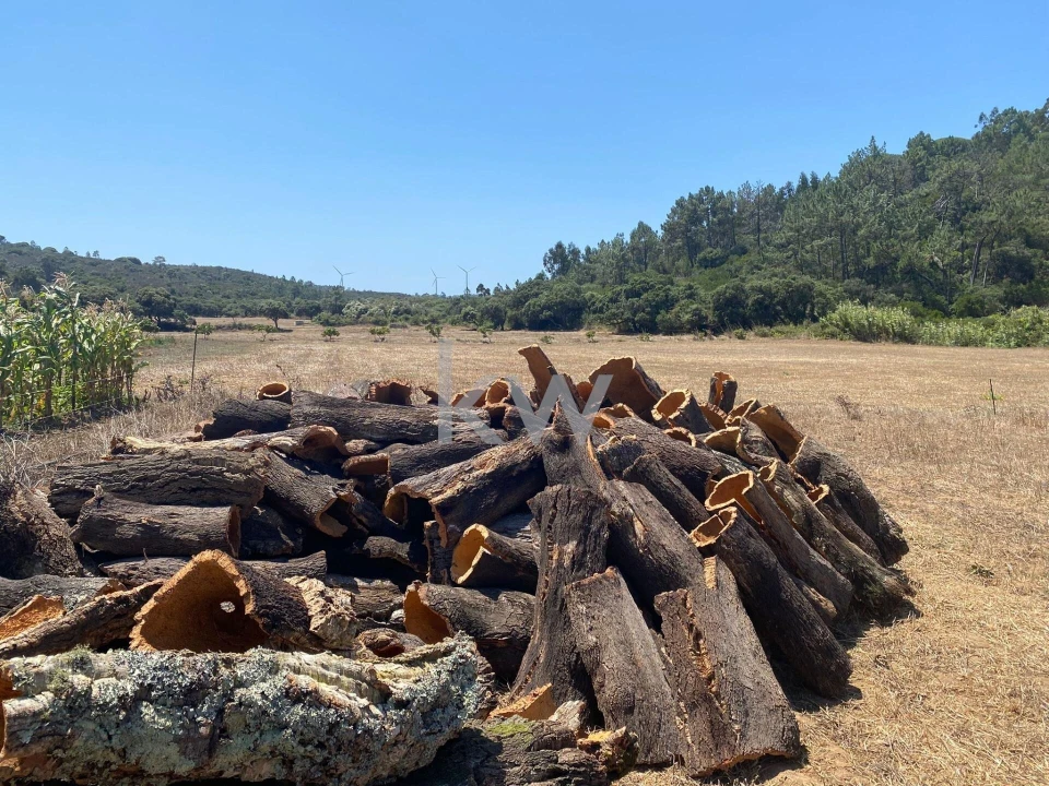 Quinta T2 para Venda em Budens Foto 47