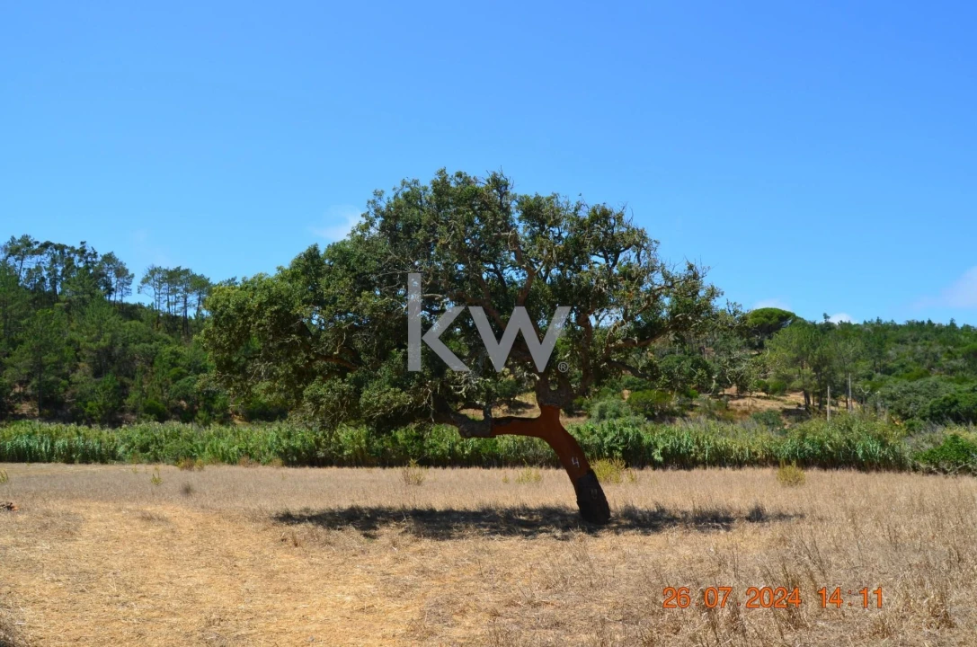 Quinta T2 para Venda em Budens Foto 36