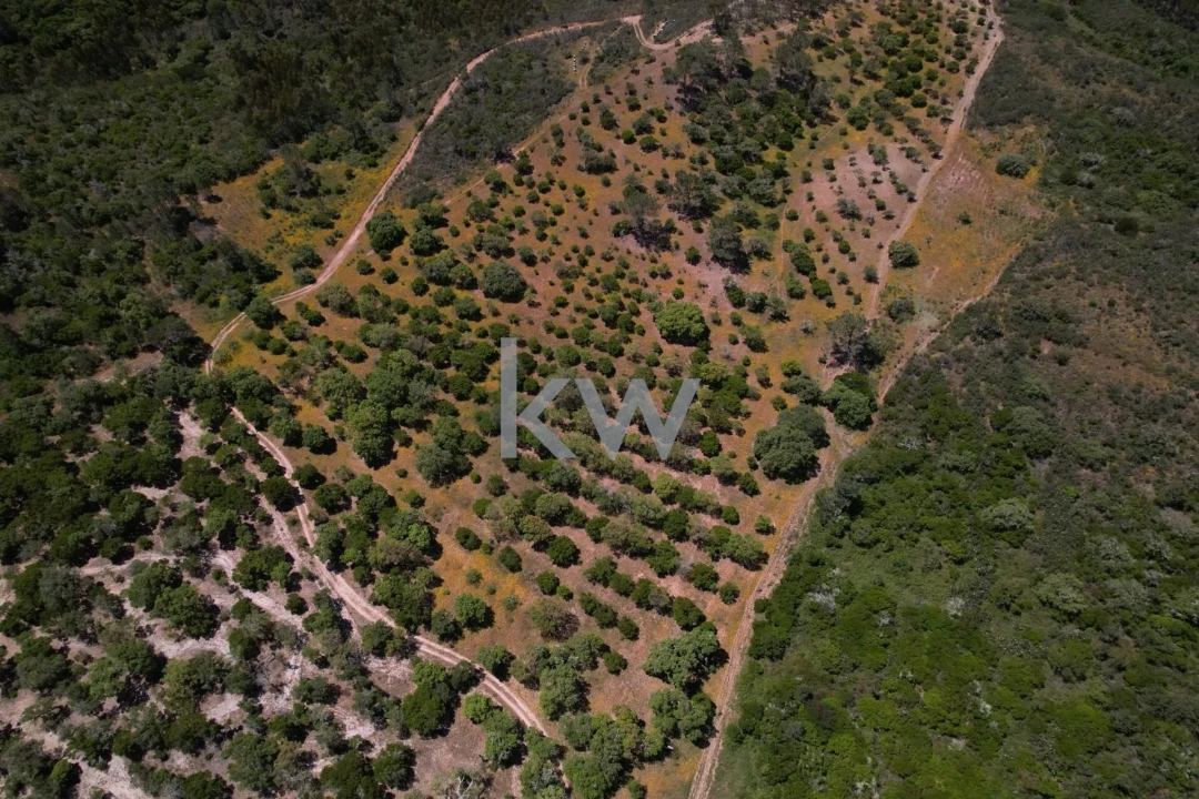 Quinta T2 para Venda em Budens Foto 14