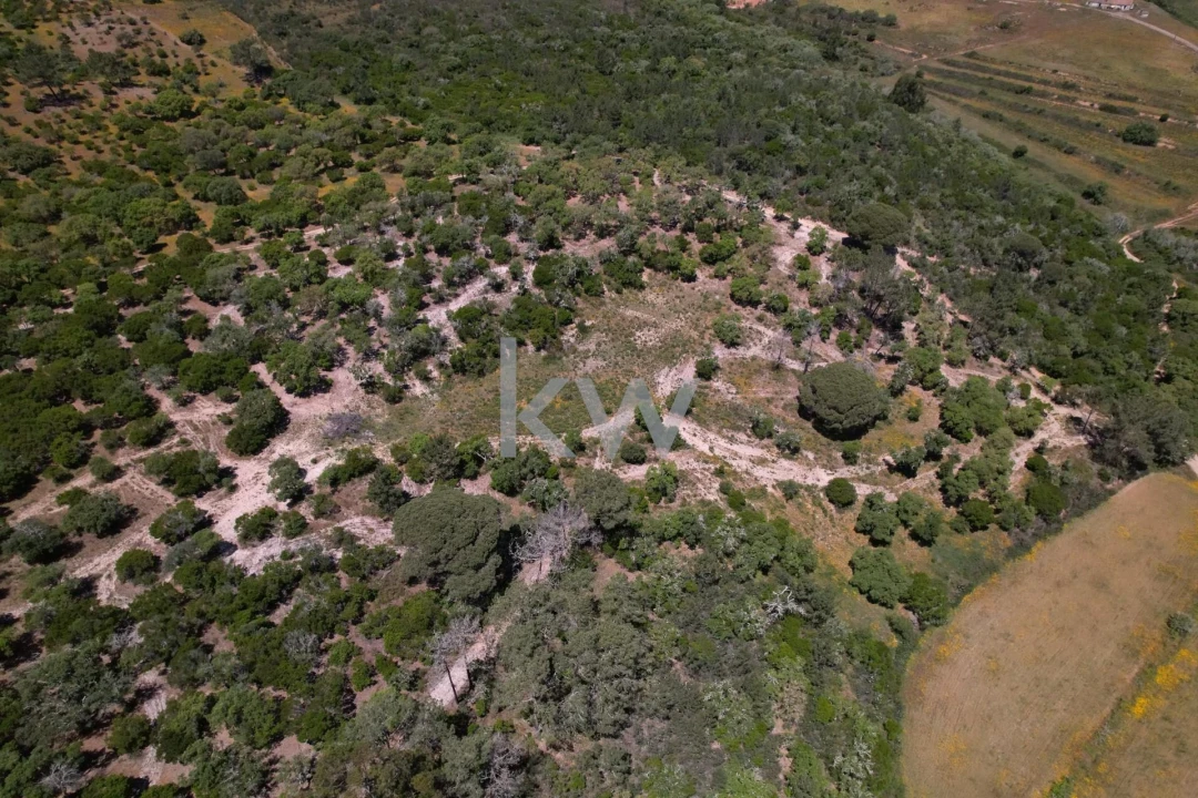 Quinta T2 para Venda em Budens Foto 23