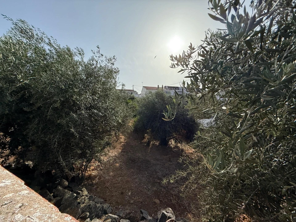 Moradia T4 para Venda em Odivelas Foto 61