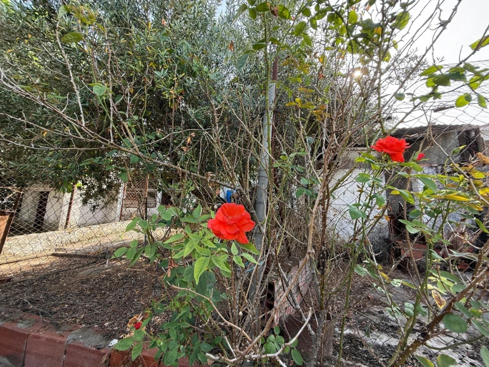 Moradia T4 para Venda em Odivelas Foto 55