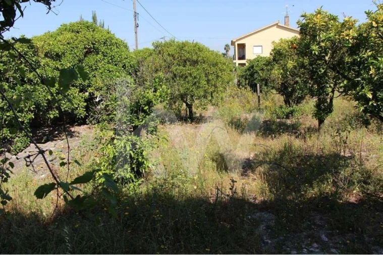 Quinta T5 para Venda em Mina de Água Foto 20