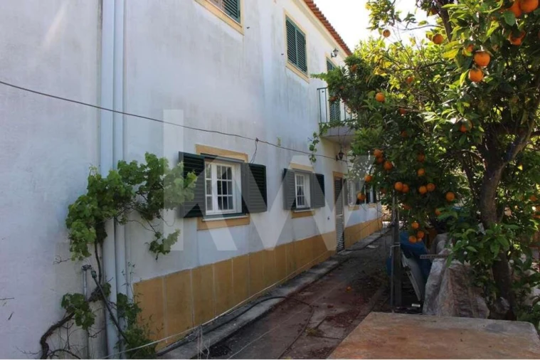 Quinta T5 para Venda em Mina de Água Foto 8