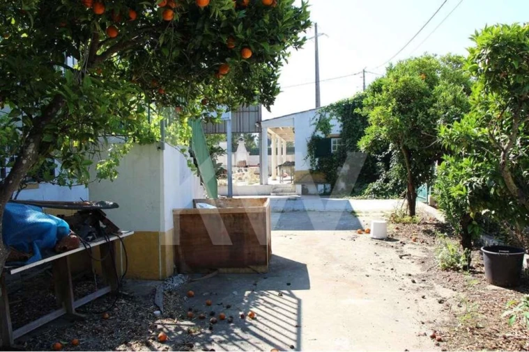 Quinta T5 para Venda em Mina de Água Foto 9