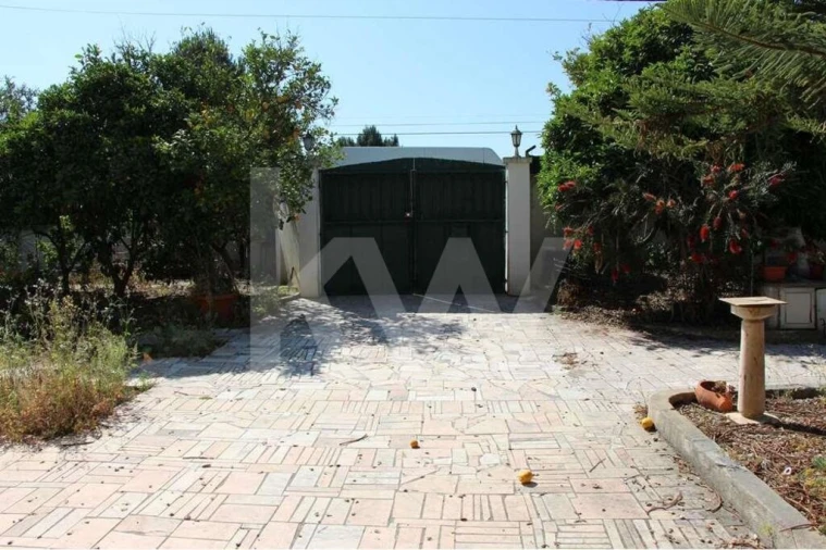 Quinta T5 para Venda em Mina de Água Foto 14