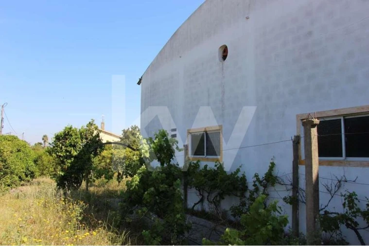 Quinta T5 para Venda em Mina de Água Foto 7