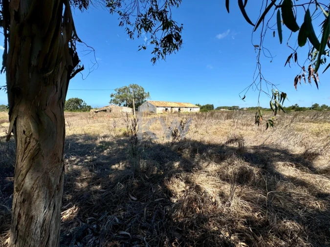 Quinta T4 para Venda em Odeceixe Foto 4