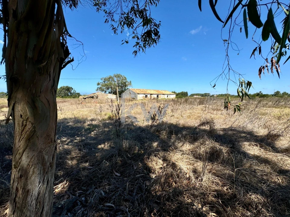 Quinta T4 para Venda em Odeceixe Foto 4