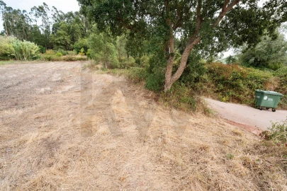 Terreno para Venda em Souselas e Botão