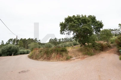 Terreno para Venda em Souselas e Botão