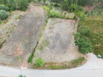Terreno para Venda em Souselas e Botão