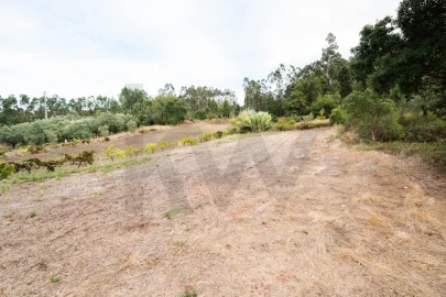 Terreno para Venda em Souselas e Botão
