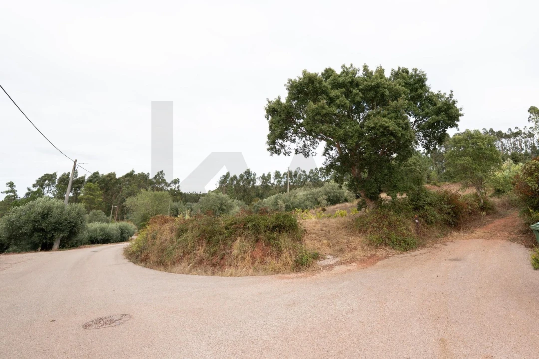 Terreno para Venda em Souselas e Botão Foto 11