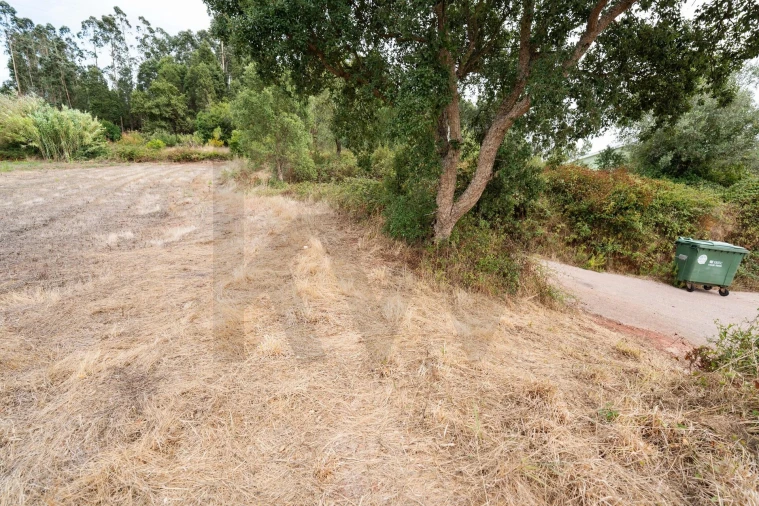 Terreno para Venda em Souselas e Botão Foto 10