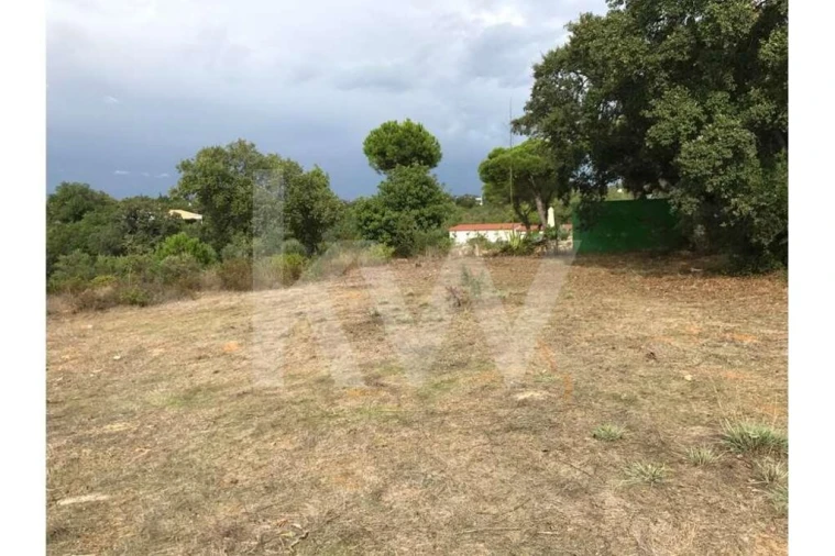 Terreno para Venda em Almancil Foto 3