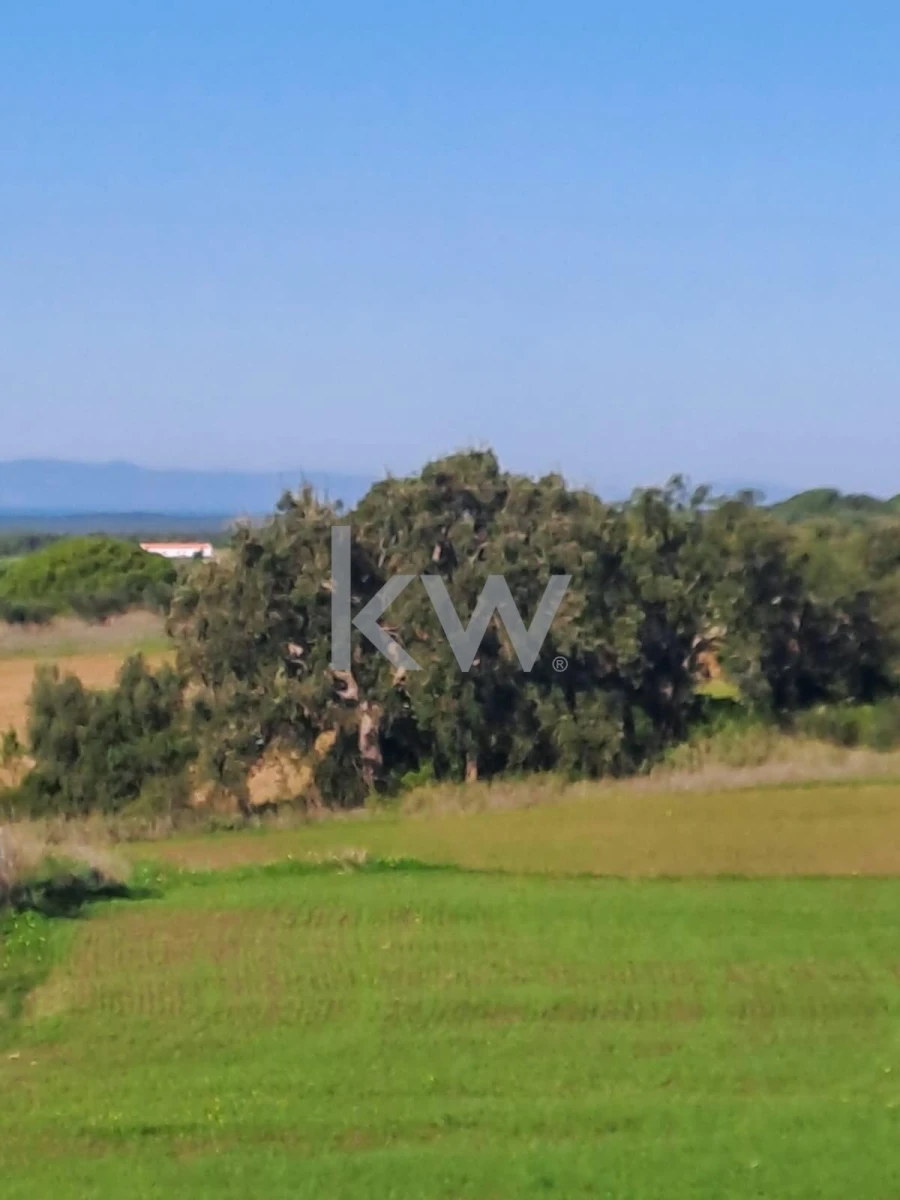 Terreno para Venda em Santiago do Cacém, Santa Cruz e São Bartolomeu da Serra Foto 6