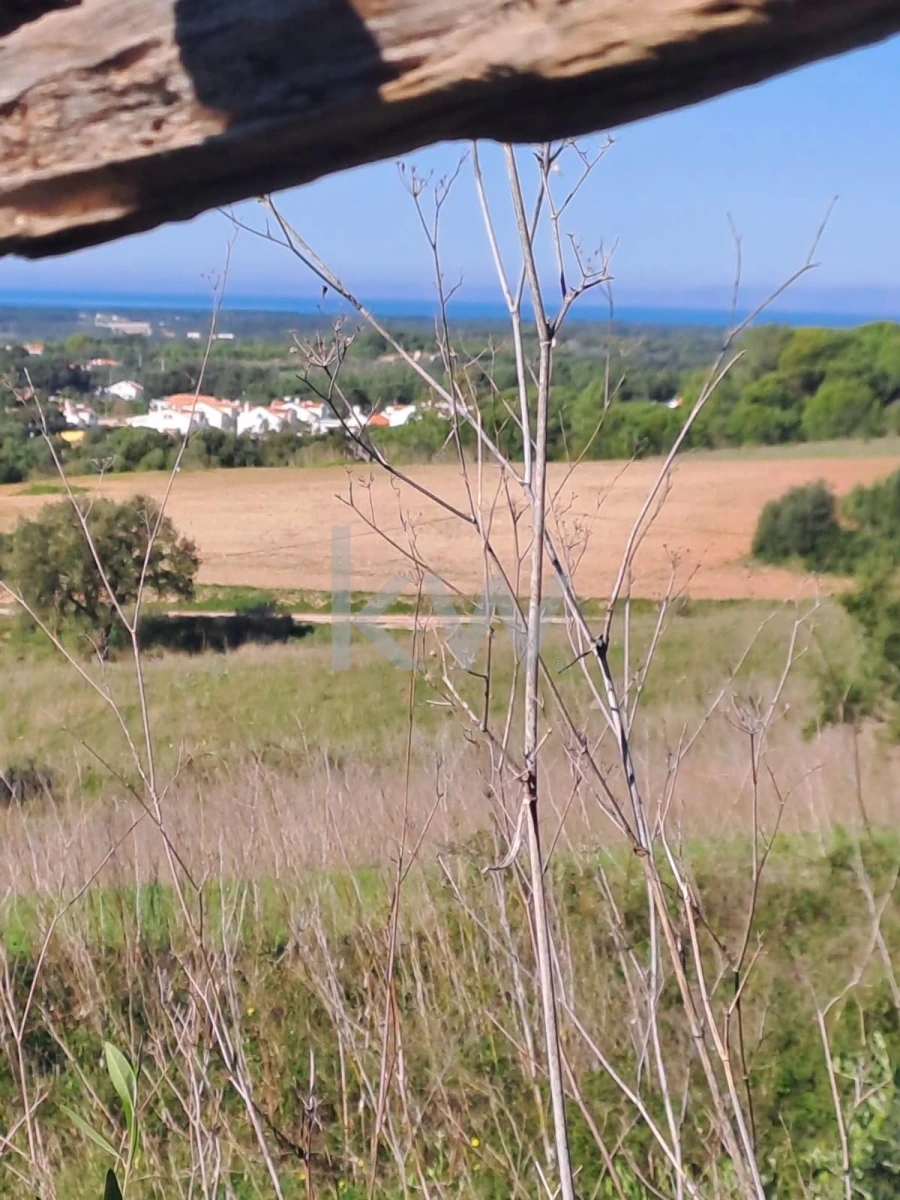 Terreno para Venda em Santiago do Cacém, Santa Cruz e São Bartolomeu da Serra Foto 9