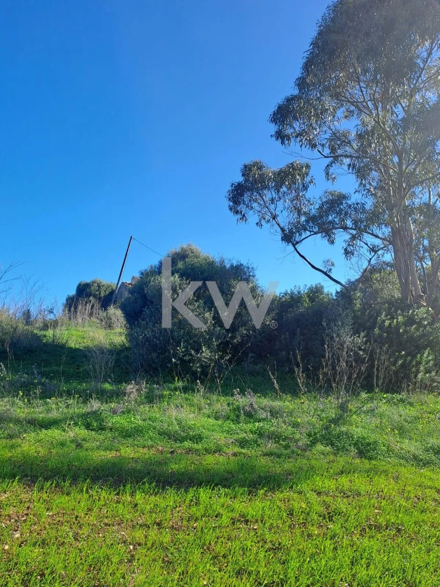 Terreno para Venda em Santiago do Cacém, Santa Cruz e São Bartolomeu da Serra Foto 2