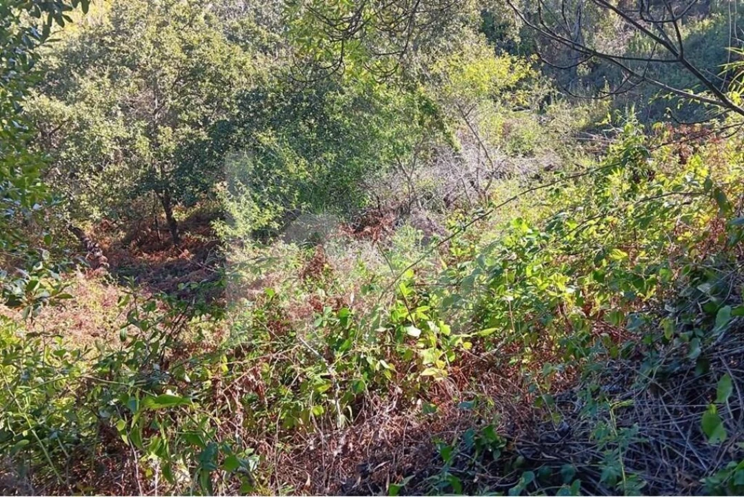 Terreno para Venda em Mafra Foto 13