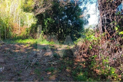 Terreno para Venda em Mafra