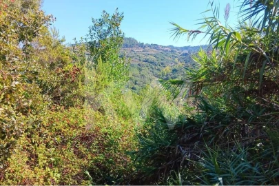 Terreno para Venda em Mafra