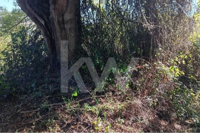 Terreno para Venda em Mafra