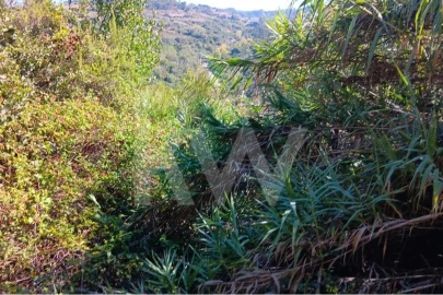 Terreno para Venda em Mafra