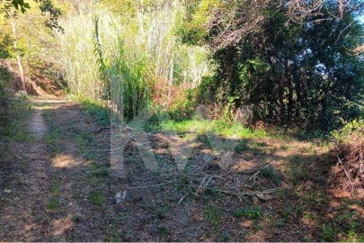 Terreno para Venda em Mafra
