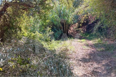 Terreno para Venda em Mafra