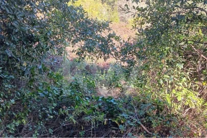 Terreno para Venda em Mafra