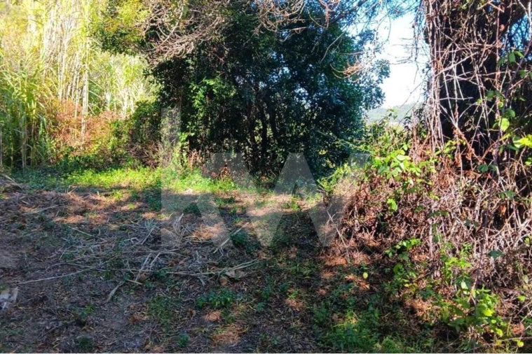Terreno para Venda em Mafra Foto 5