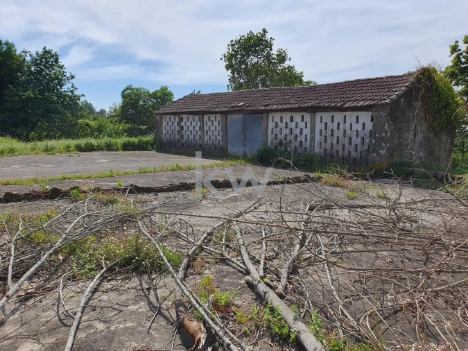 Quinta T5 para Venda em Lobão, Gião, Louredo e Guisande Foto 17