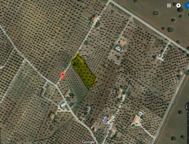 Terreno para Venda em Alagoa