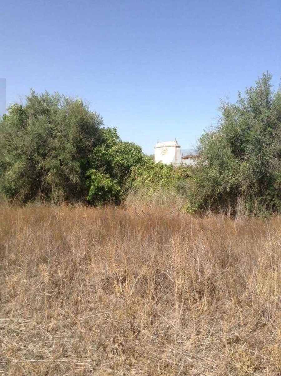 Terreno para Venda em Alagoa Foto 7