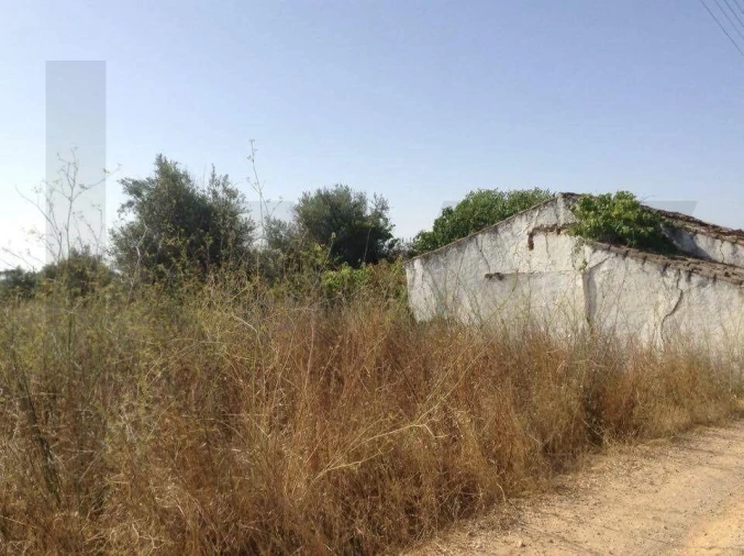 Terreno para Venda em Alagoa Foto 2