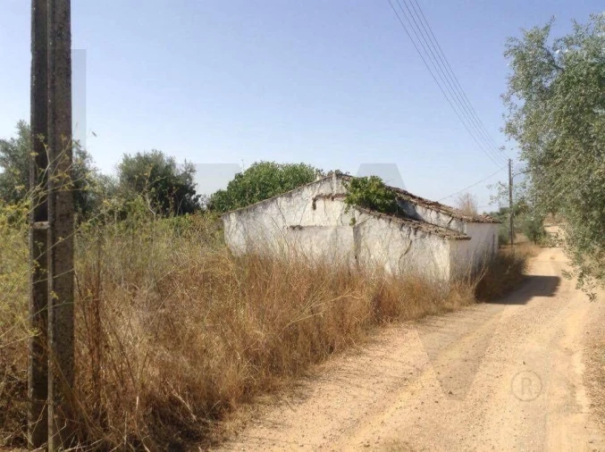 Terreno para Venda em Alagoa Foto 3