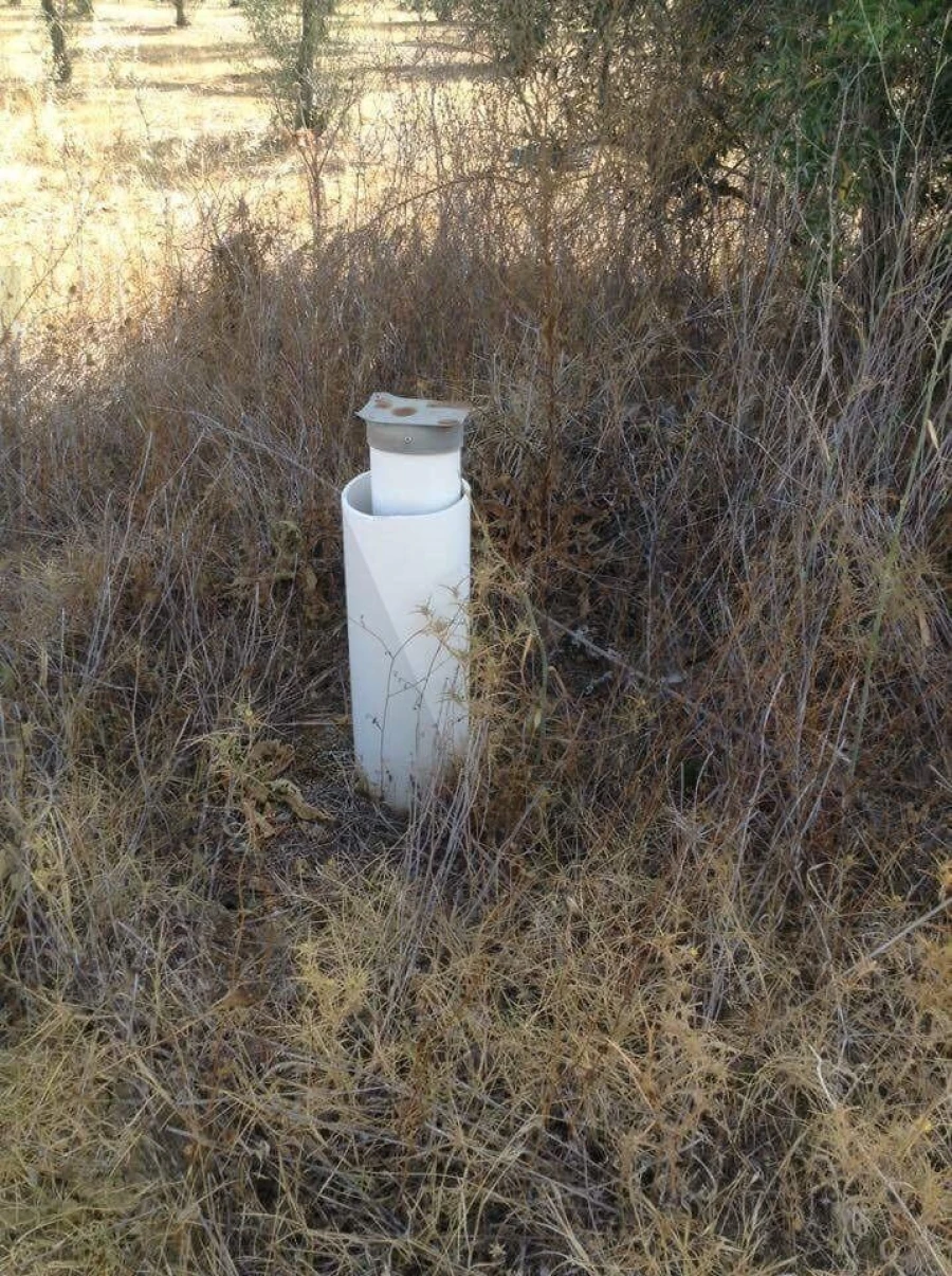 Terreno para Venda em Alagoa Foto 6