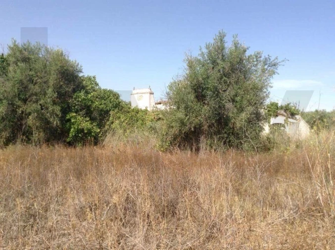 Terreno para Venda em Alagoa Foto 8