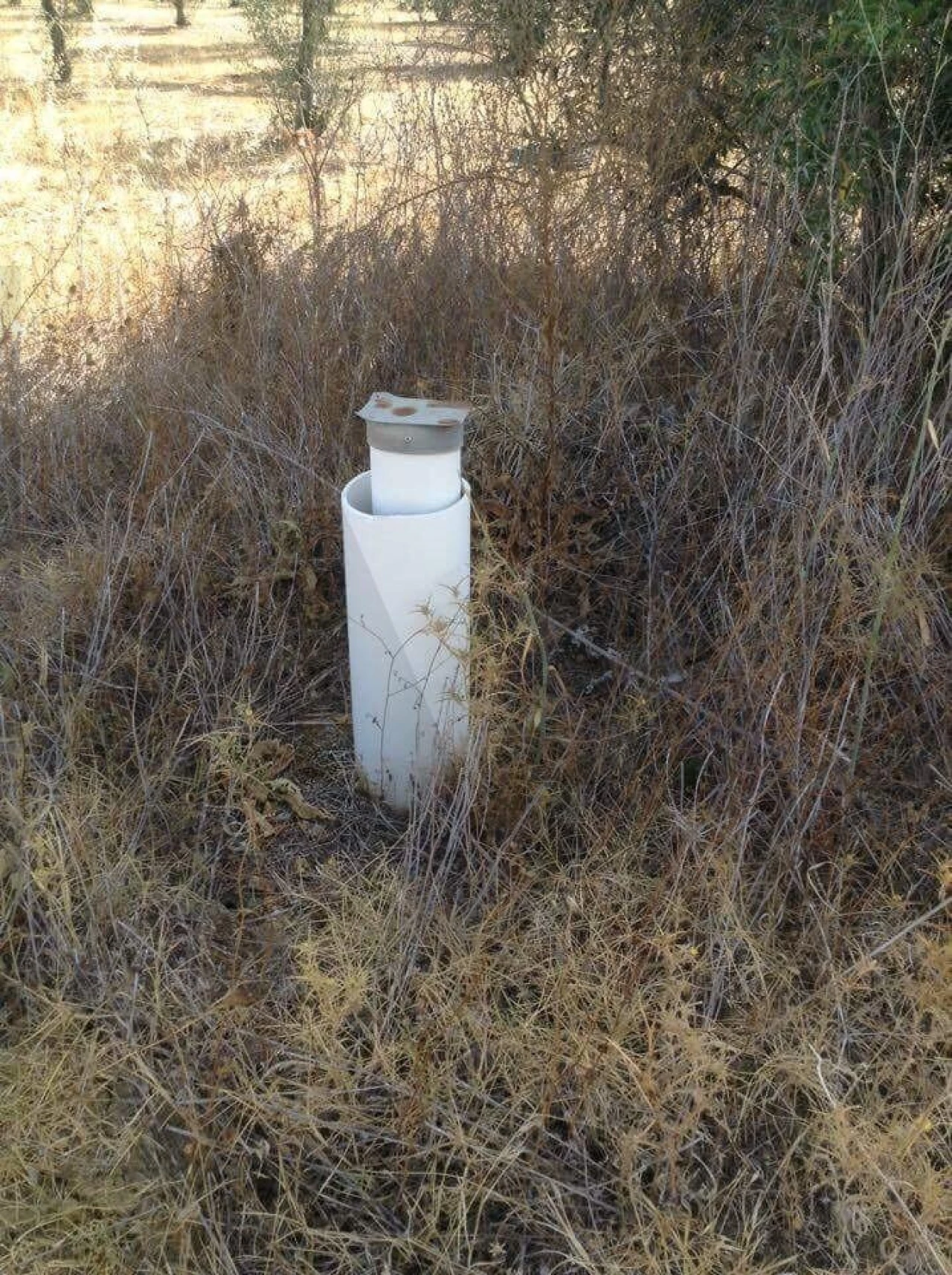 Terreno para Venda em Alagoa Foto 6