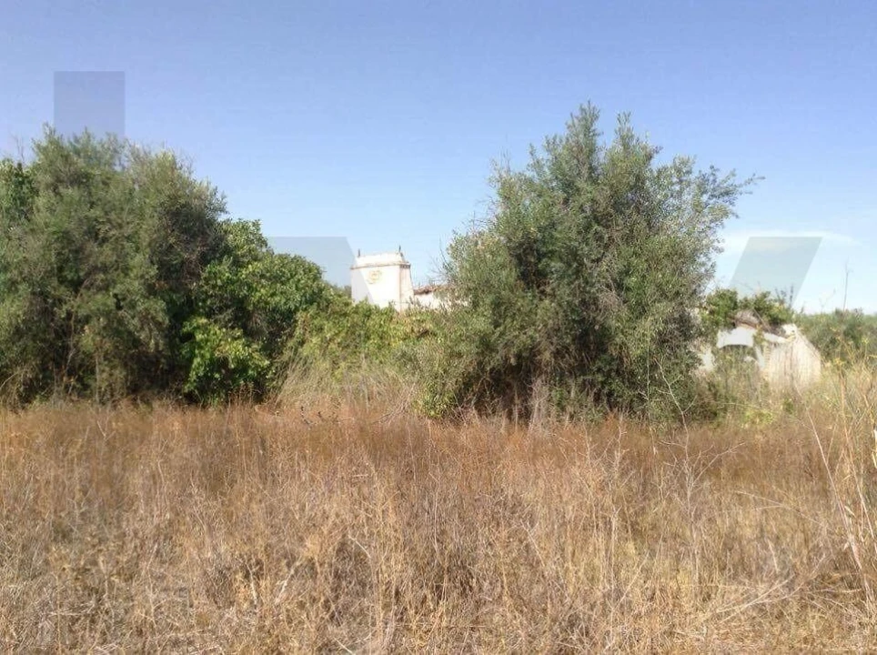 Terreno para Venda em Alagoa Foto 9